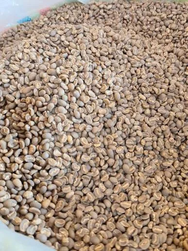 Java Preanger Green Beans