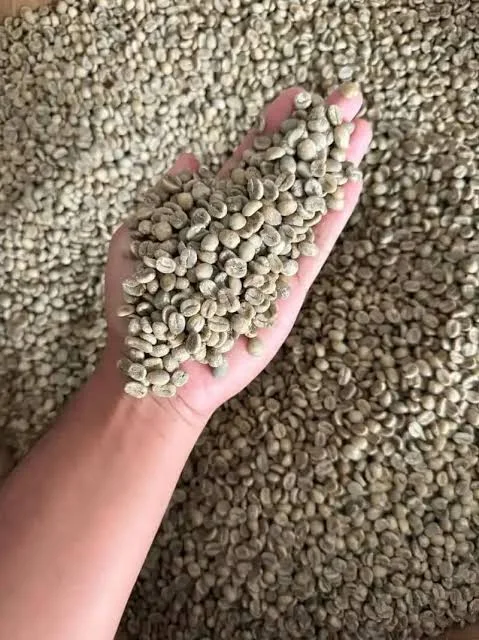Bali Kintamani Roasted Coffee